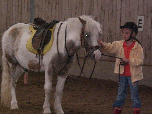 Bild zu @sibs....wg. Reiterhof Runding - Sparforum - Forum rund ums Sparen