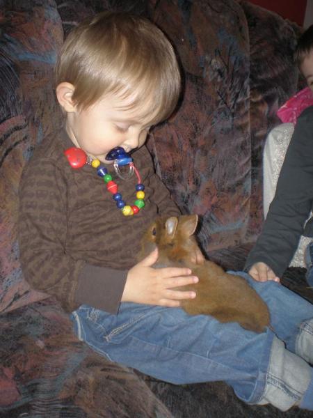 Bild zu guckt mal unser Nachwuchs :-) - Sparforum - Forum rund ums Sparen