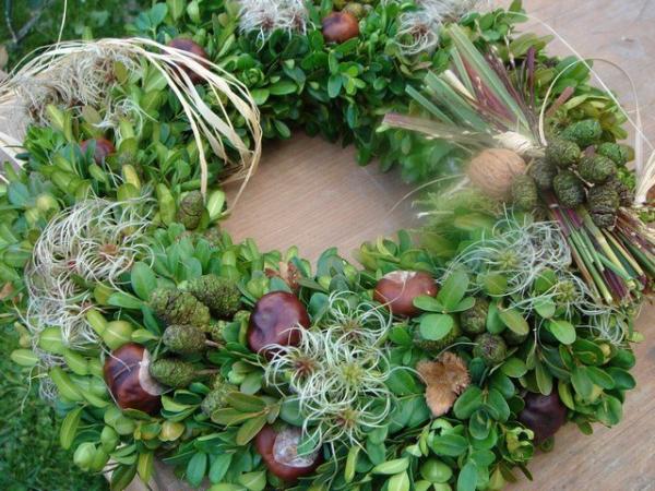 Bild zu Individuelle Herbstdeko gesucht? - Sparforum - Forum rund ums Sparen