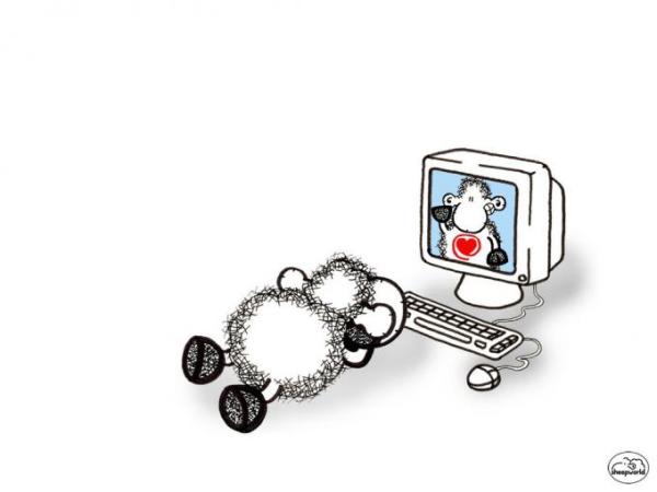 Bild zu Hilfe... Ebay - Wie Pakete einstellen? - Sparforum - Forum rund ums Sparen