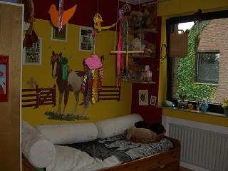 Bild zu So sieht das Zimmer einer 9jährigen Pferdenärrin aus. Nix mehr mit rosa :-( - Sparforum - Forum rund ums Sparen