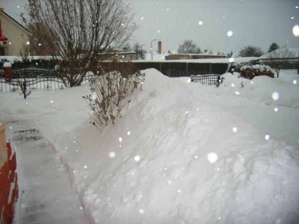 Bild zu bild2 - Sparforum - Forum rund ums Sparen