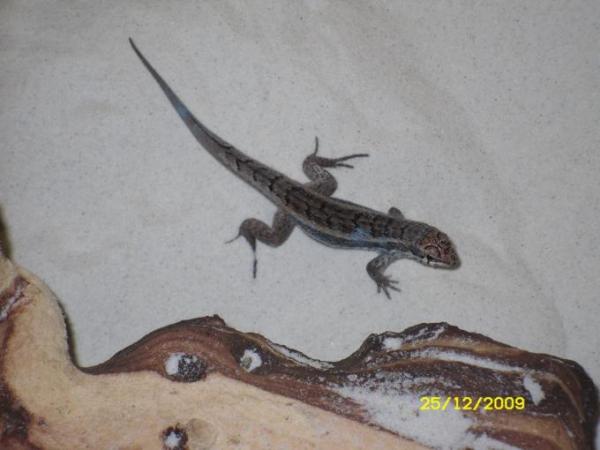 Bild zu mal unsere neuen Mitbewohner vorstellen will: - Sparforum - Forum rund ums Sparen