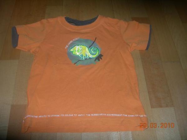 Bild zu Verkaufe T-Shirts gr. 104 f. Junge - Sparforum - Forum rund ums Sparen