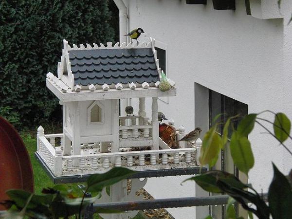 Bild zu OT würdet ihr euch so ein Vogelhaus in den gartsen stellen? - Sparforum - Forum rund ums Sparen