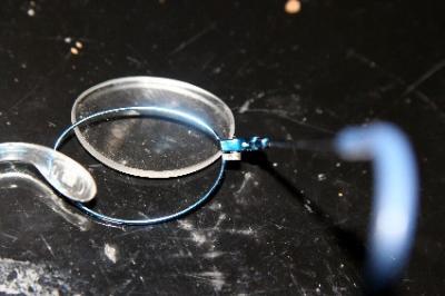 Bild zu o.t. herbstsonne - Sparforum - Forum rund ums Sparen