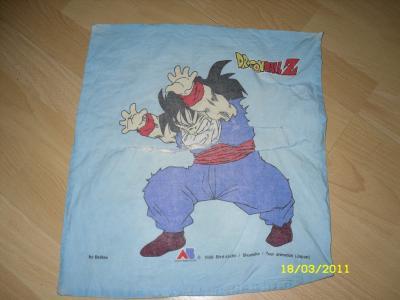 Bild zu Dringende Suche: Kissen Dragonball Z - Sparforum - Forum rund ums Sparen