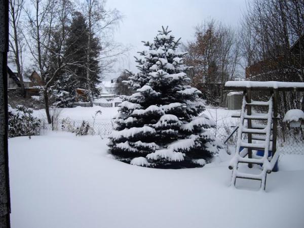 Bild zu Für mich sehr aktuell: Der Winter !!! - Aktuelles