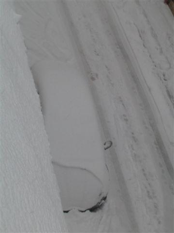 Bild zu ALAAF und HELLAU... SCHAUT MAL WELCH EIN GRAU(EN) - Aktuelles
