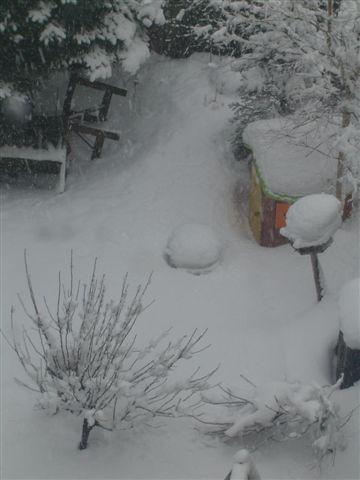Bild zu und nr. 2 - hier unser garten - Aktuelles