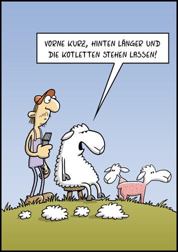 Bild zu Grüßle an Einstein - Aktuelles