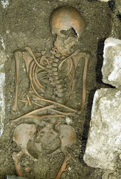 Bild zu Dann will ich auch mal... - Aktuelles