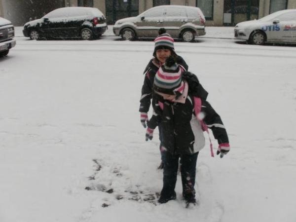 Bild zu