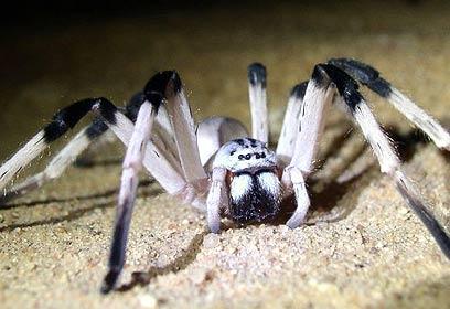 Bild zu 14 Zentimeter - Aktuelles