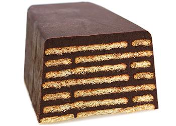 Bild zu Kalte Schnauze - Aktuelles