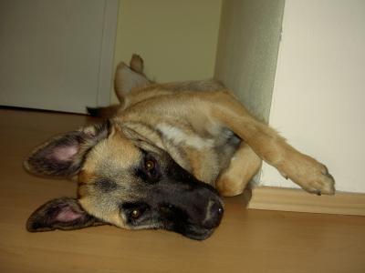 Bild zu Bitte Bild kleinschrumpfen - ich weiß nicht in welches Forum sonst - Aktuelles