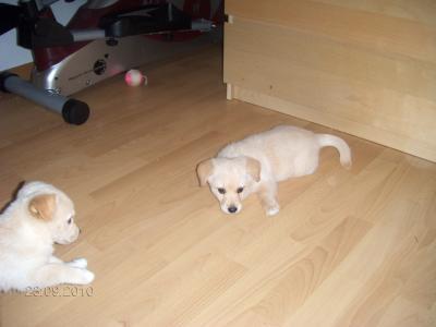 Bild zu