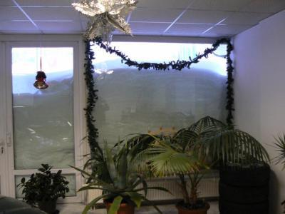 Bild zu nun ja *räusper* ohne worte - Aktuelles