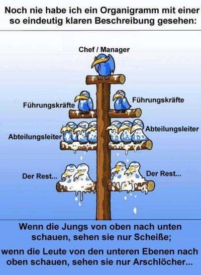 Bild zu Was lustiges:) - Aktuelles