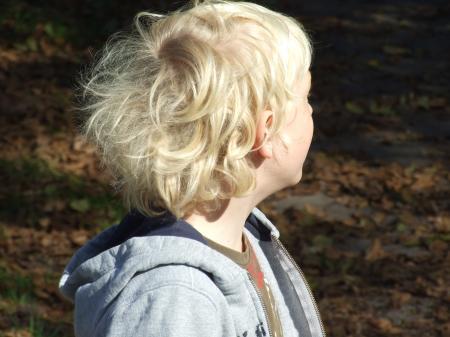 Bild zu 