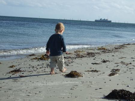 Bild zu