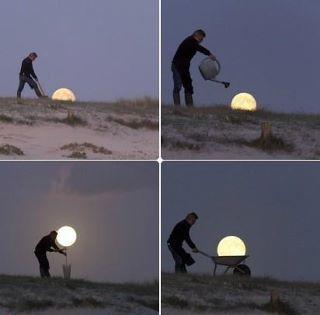 Bild zu ich moechte einen mond anpflanzen.. - Aktuelles
