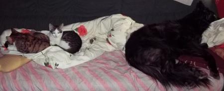 Bild zu