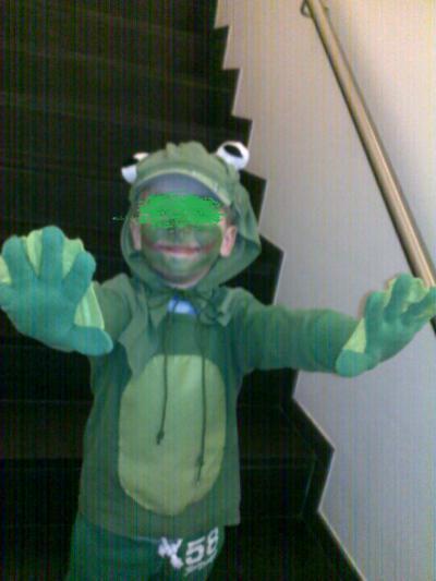 Bild zu mein kleiner Karnevalsfrosch - Aktuelles