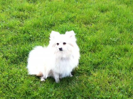 Bild zu 