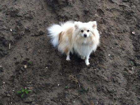 Bild zu 