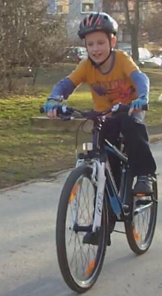 Bild zu 