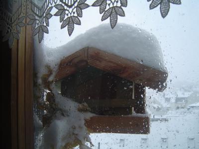 Bild zu wer wollte den SCHNEE ?????? - Aktuelles