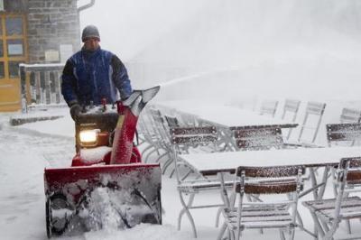 Bild zu BIERGARTEN ADÉ - Aktuelles
