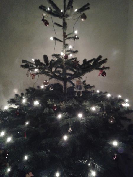 Bild zu