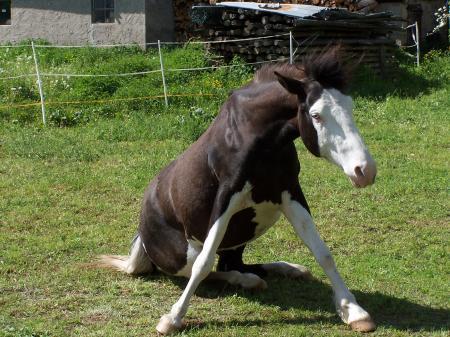 Bild zu 