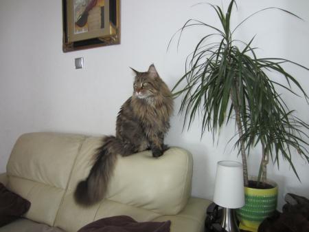Bild zu 