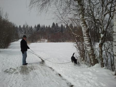Bild zu 