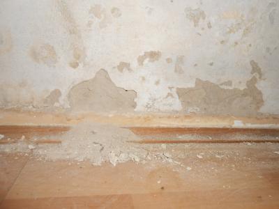 Bild zu Wand bröselt durch Wasserschaden - hat hier jemand eine Idee? - Aktuelles