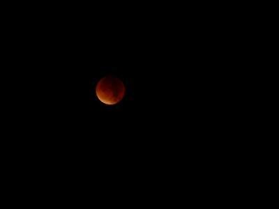 Bild zu Blutmond - Aktuelles