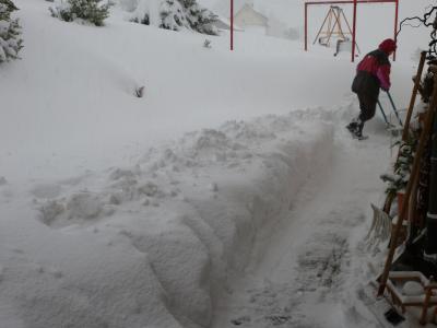 Bild zu Schneechaos - Aktuelles
