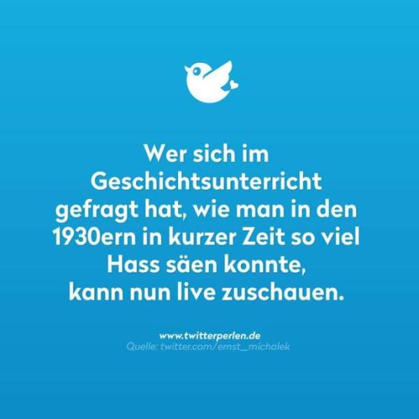 Bild zu Nicht nur ich bin der Meinung - Aktuelles