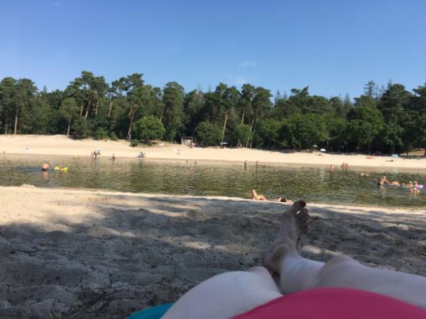 Bild zu Okay, bin noch immer in Holland! - Aktuelles