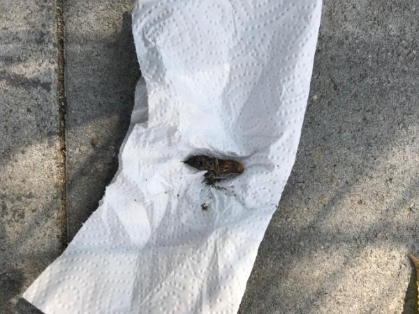 Bild zu Welches Tier ist das? - Aktuelles