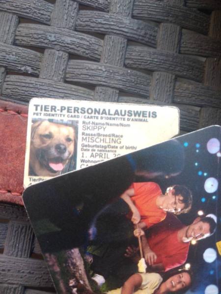 Bild zu