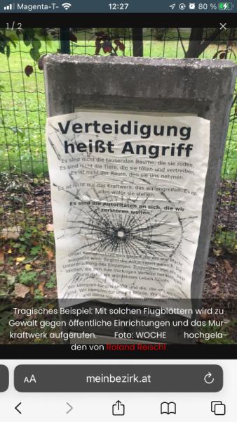 Bild zu 