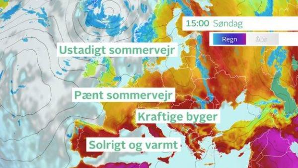 Bild zu Tour de France in DK - Aktuelles