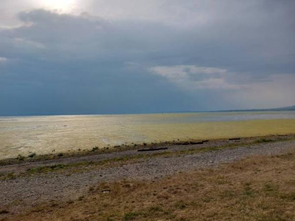 Bild zu