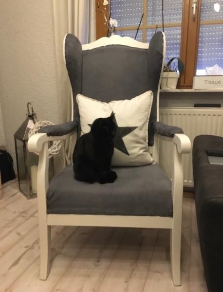 Bild zu