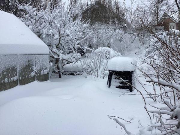 Bild zu Wetter in DK - Aktuelles