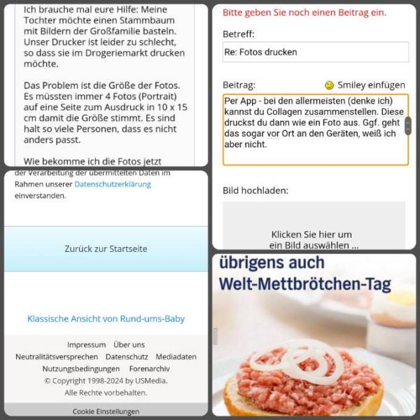Bild zu